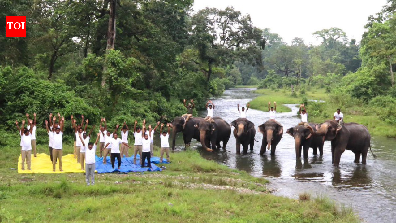 International Yoga Day 2026: Heartwarming images of elephants and humans together remind the world that Yoga is about harmony, not just exercise