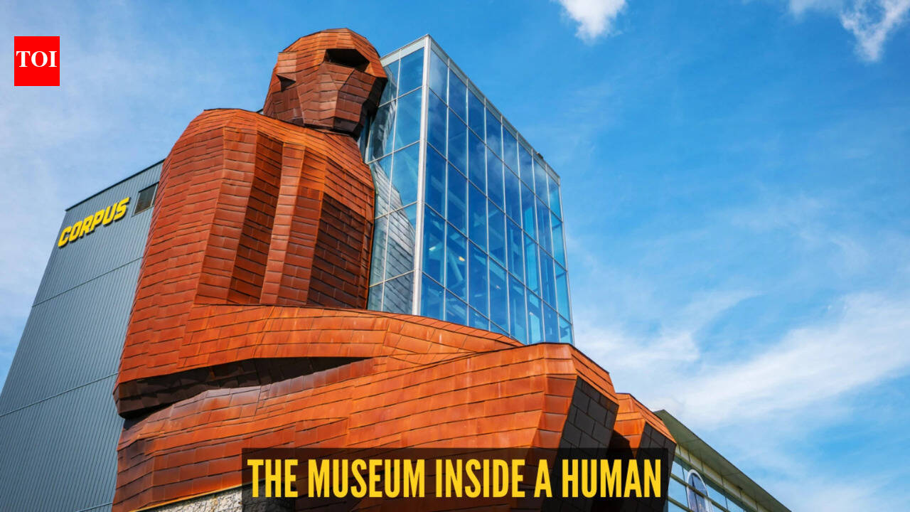 Step inside a giant human at the Netherlands’ CORPUS Museum