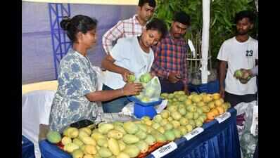 SLBC urges govt to issue ID cards for farmers to ease sanctioning of loans