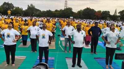 HDK
