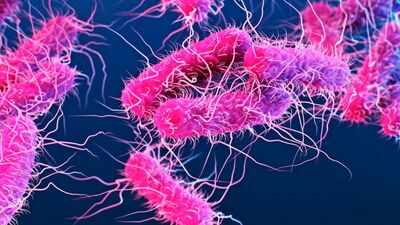  Death toll rises to 6, 7 new cases; Nipah situation under control