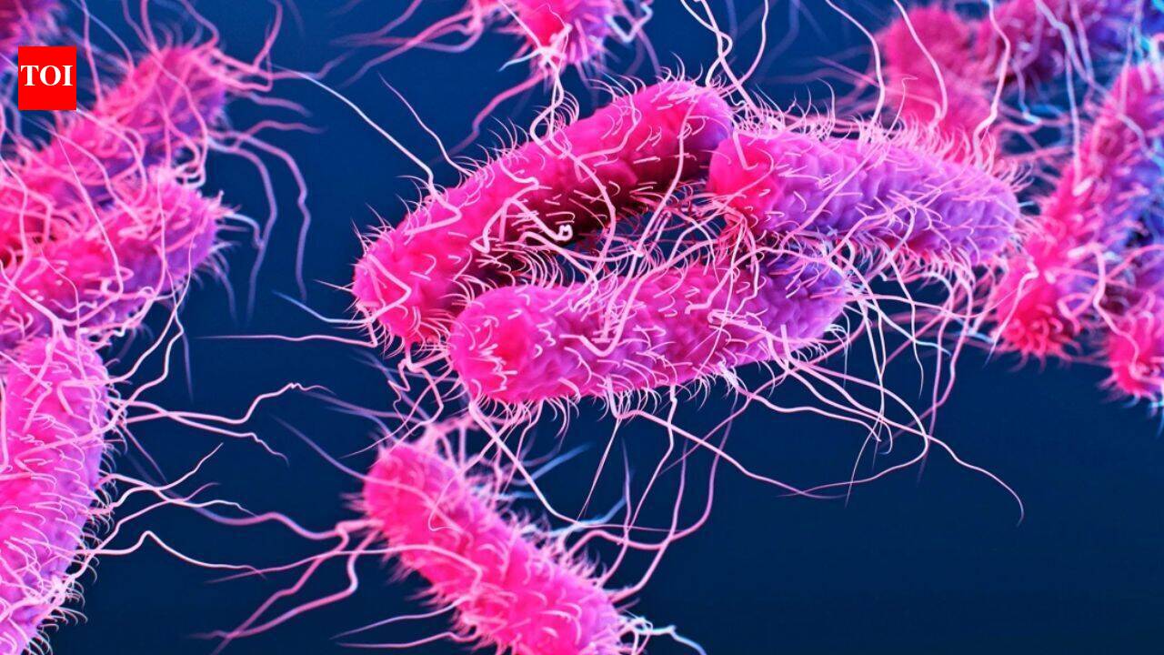 Shigella cases rise in Kerala: Death toll rises to 6, 7 new cases; Nipah situation under control