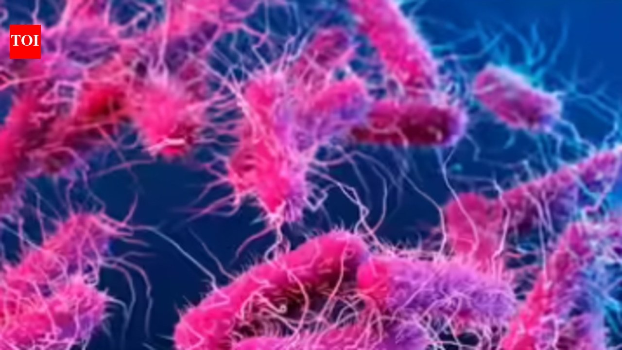 Kozhikode woman dies of Shigella
