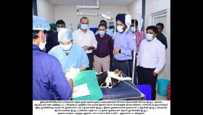 GCC scales up sterilisation efforts