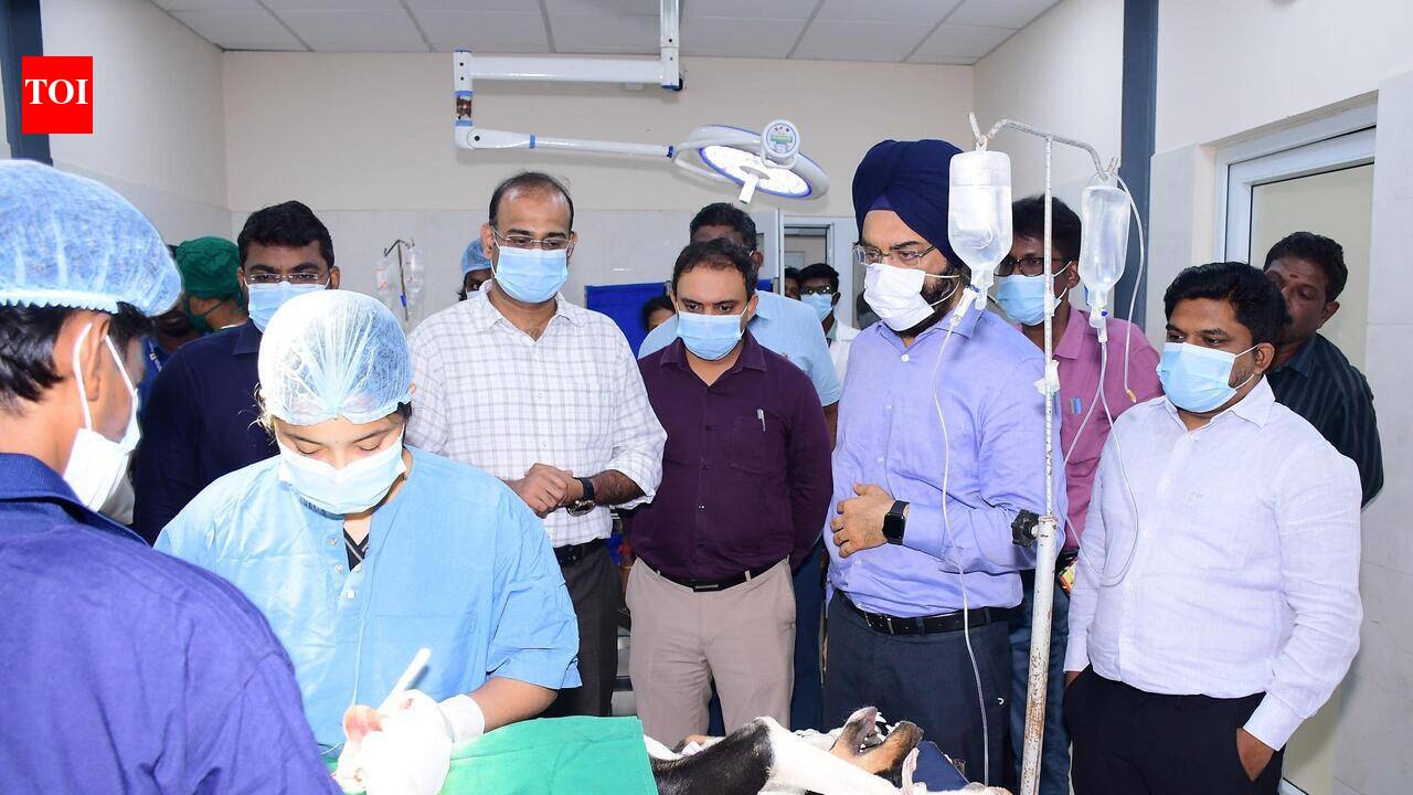 GCC scales up sterilisation efforts