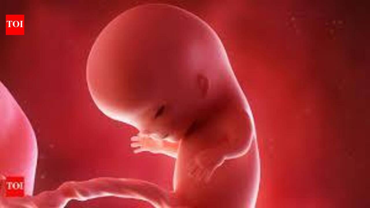 HC upholds woman’s right to end 15-wk pregnancy