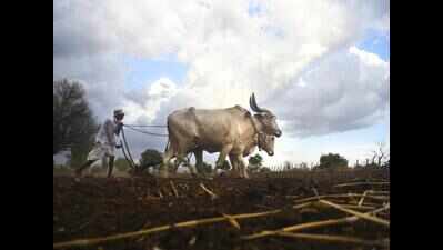  Loan waiver a fraud, declare drought