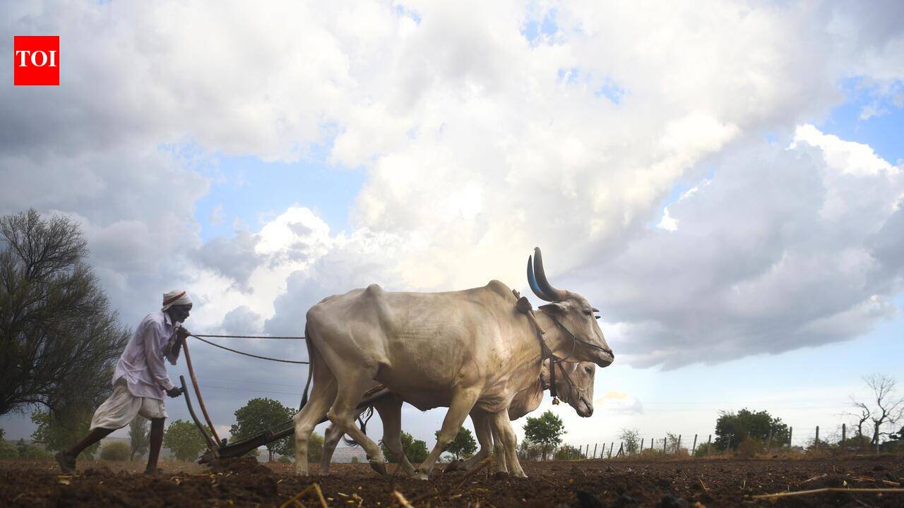 MVA: Loan waiver a fraud, declare drought