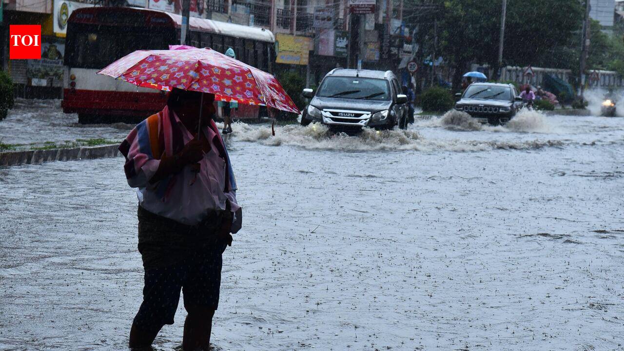 After dry spell, rain brings relief across north coastal Andhra
