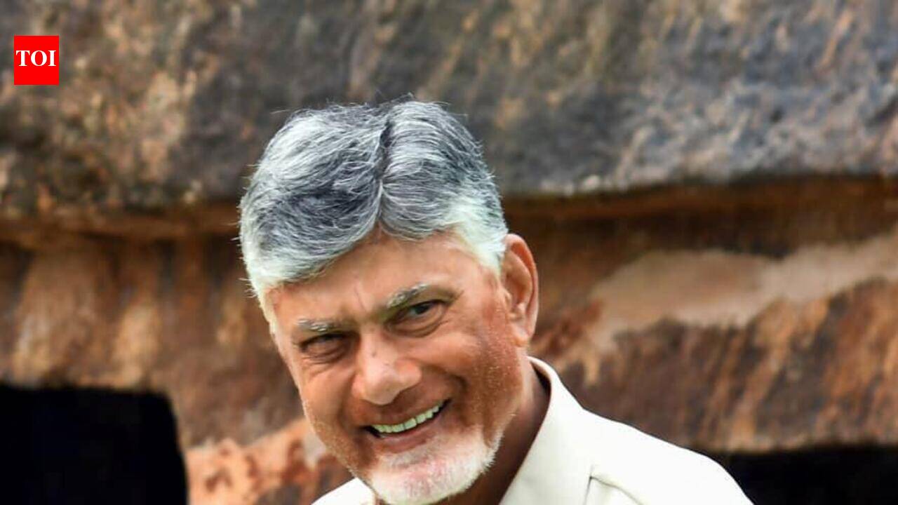 Naidu govt to release progress reports on two-year rule
