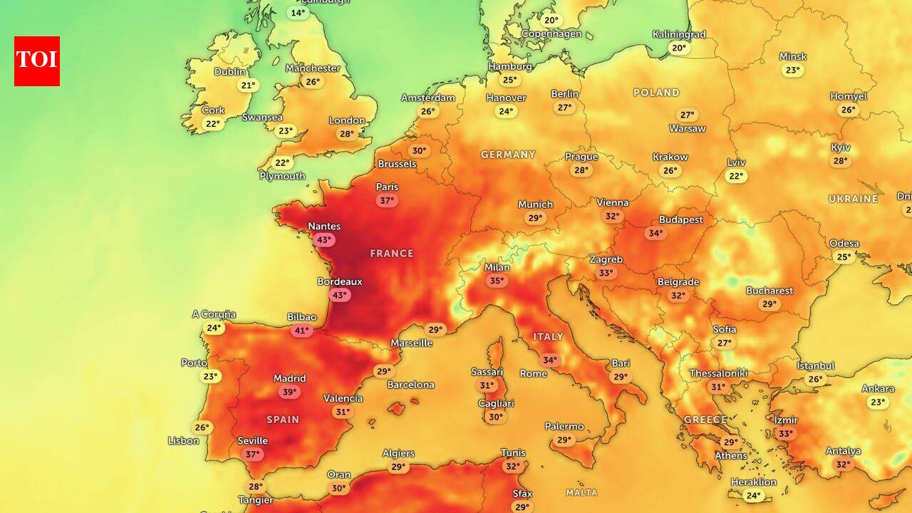 Heat dome over Europe brings travel chaos, health alerts and wildlife stress