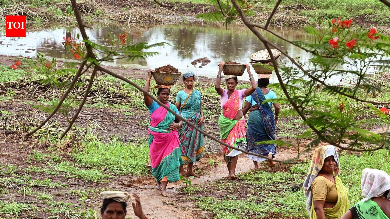 Cabinet panel opposes VB-G RAM G law, seeks safeguards