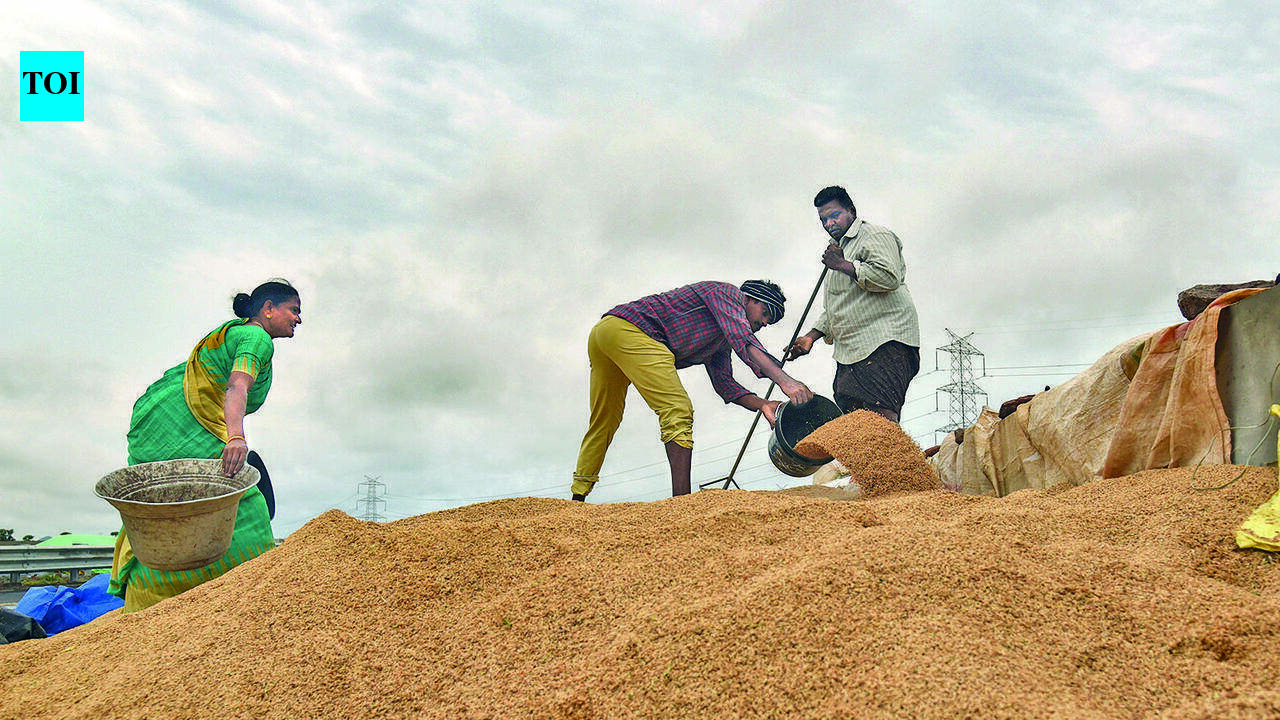 T govt may utilise paddy stocks amid El Nino threat