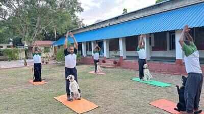 NDA cadets, military personnel and their families, and Army dogs mark International Yoga Day in Pune