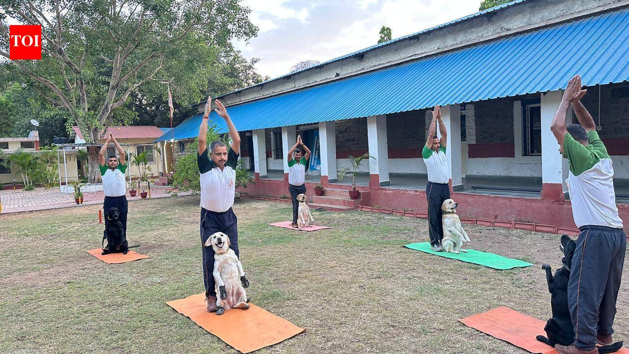NDA cadets, military personnel and their families, and Army dogs mark International Yoga Day in Pune