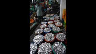 Plenty in the sea, but few fishers bring haul