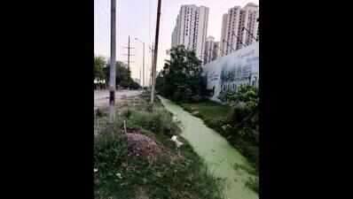 No proper drainage, Siddharth Vihar stares at flooding this year too