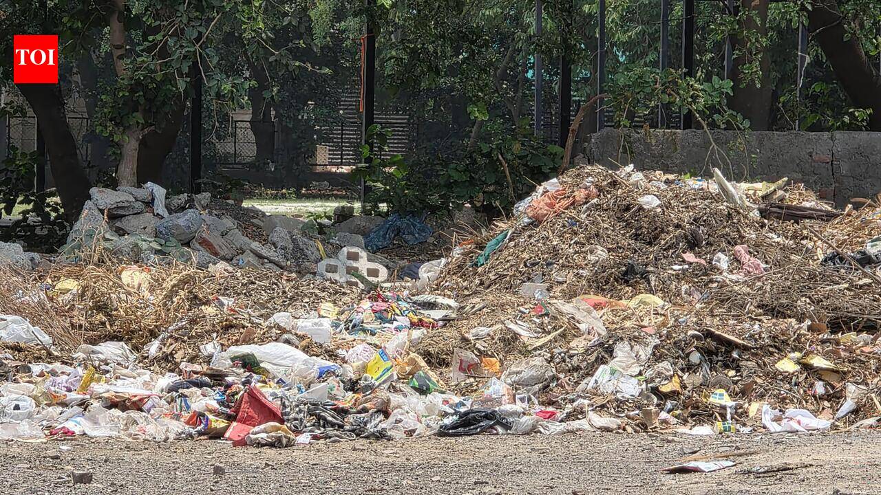 Delay in garbage collection turns area near key Gurgaon market into dumpsite