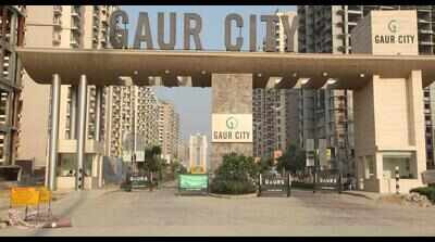 Fellow resident chases, thrashes feeder with stick in Noida’s Gaur City 2 over stray dogs