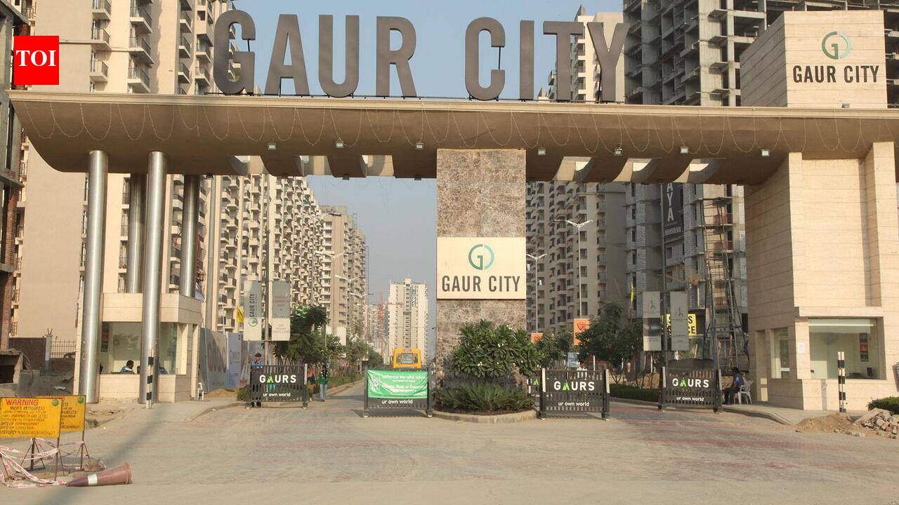 Fellow resident chases, thrashes feeder with stick in Noida’s Gaur City 2 over stray dogs