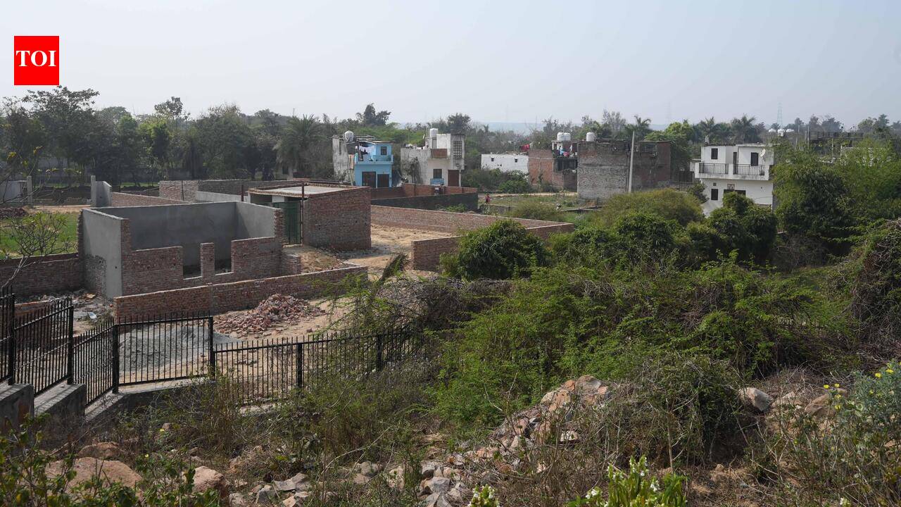 CEC flags data mismatch, orders fresh survey of Aravali land in Faridabad village