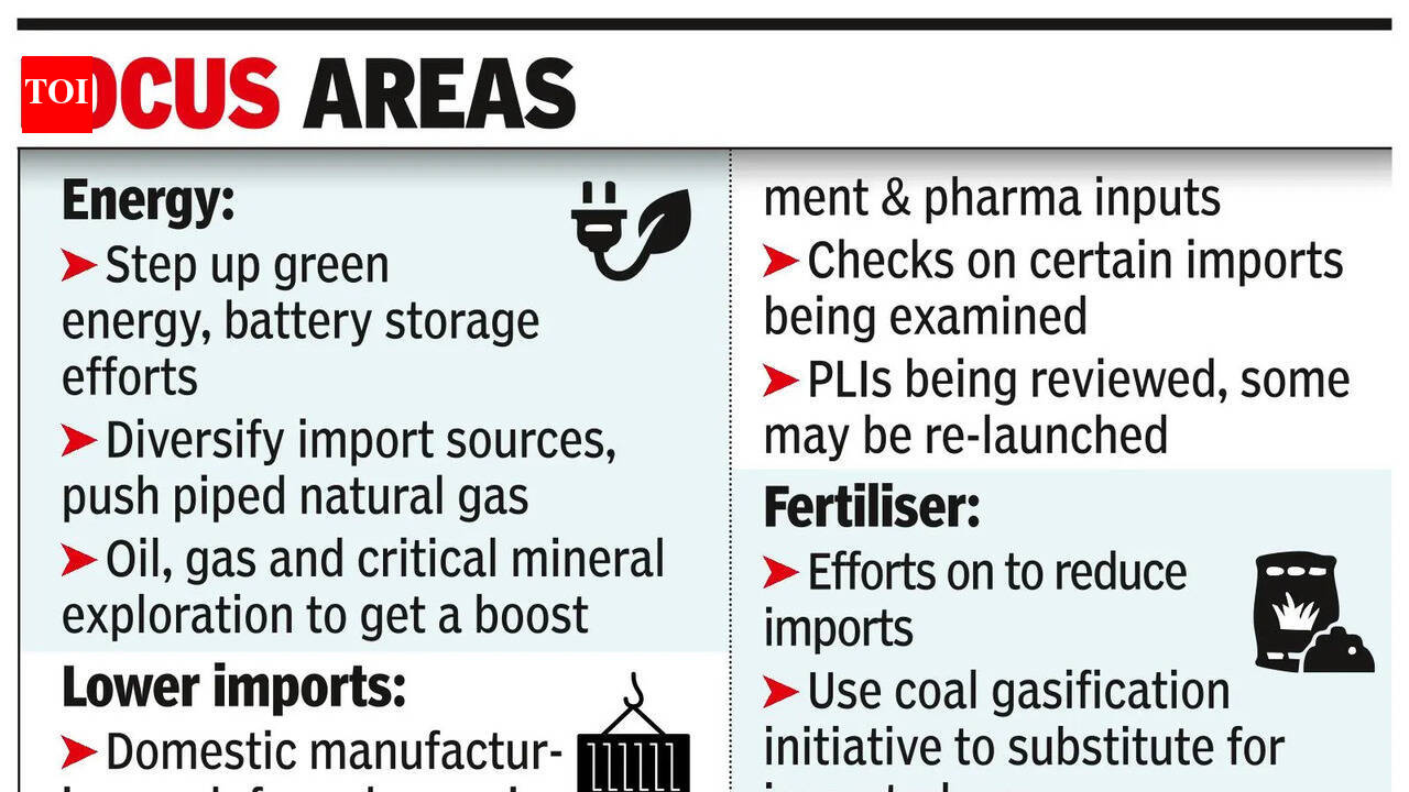 Govt starts wor k on steps to increase domestic resilience