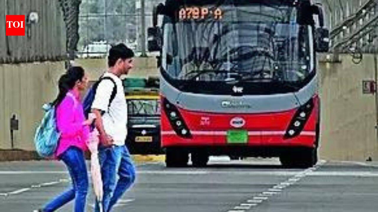 30% of pedestrian deaths are on national highways: Govt report