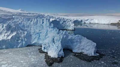  Scientists say the next few years will shape the future of the West Antarctic Ice Sheet