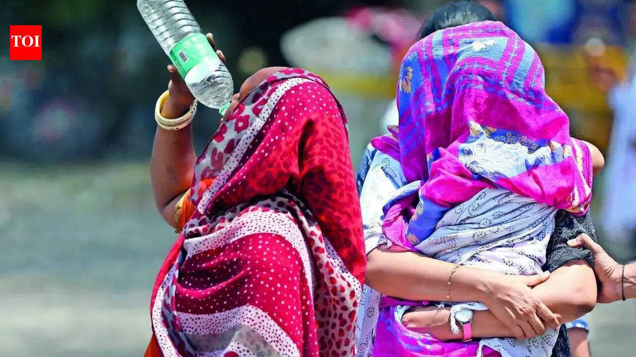 Delhi reels under hot and humid conditions