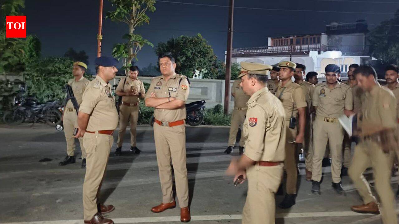 Brother, sister-in-law and 3-year-old nephew hacked to death by teen in UP
