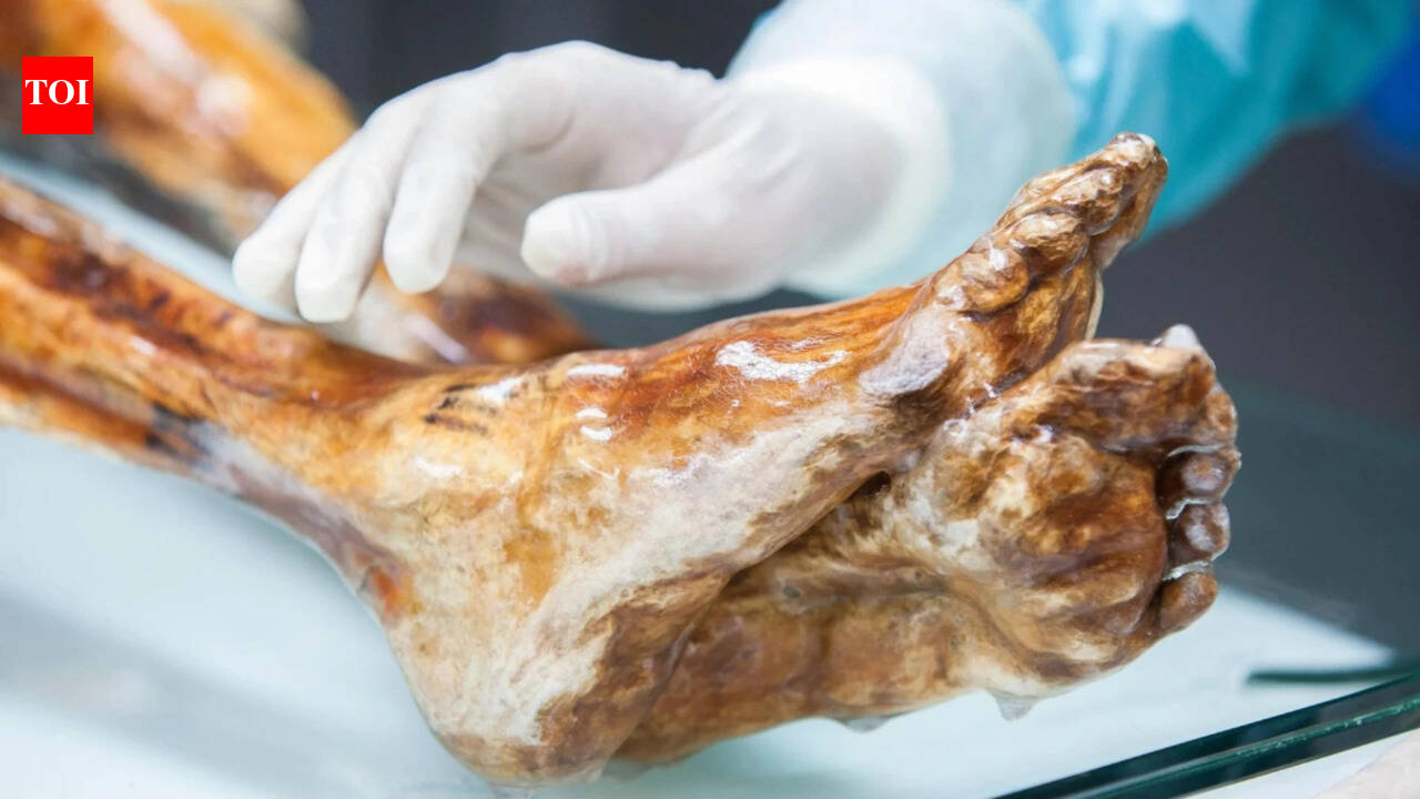 ‘Alive’ even after thousands of years? Scientists find signs of life on a 5,300-year-old ‘Ice Man’