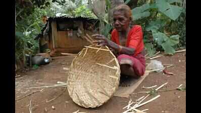 Koraga population declines in DK, community seeks scientific study