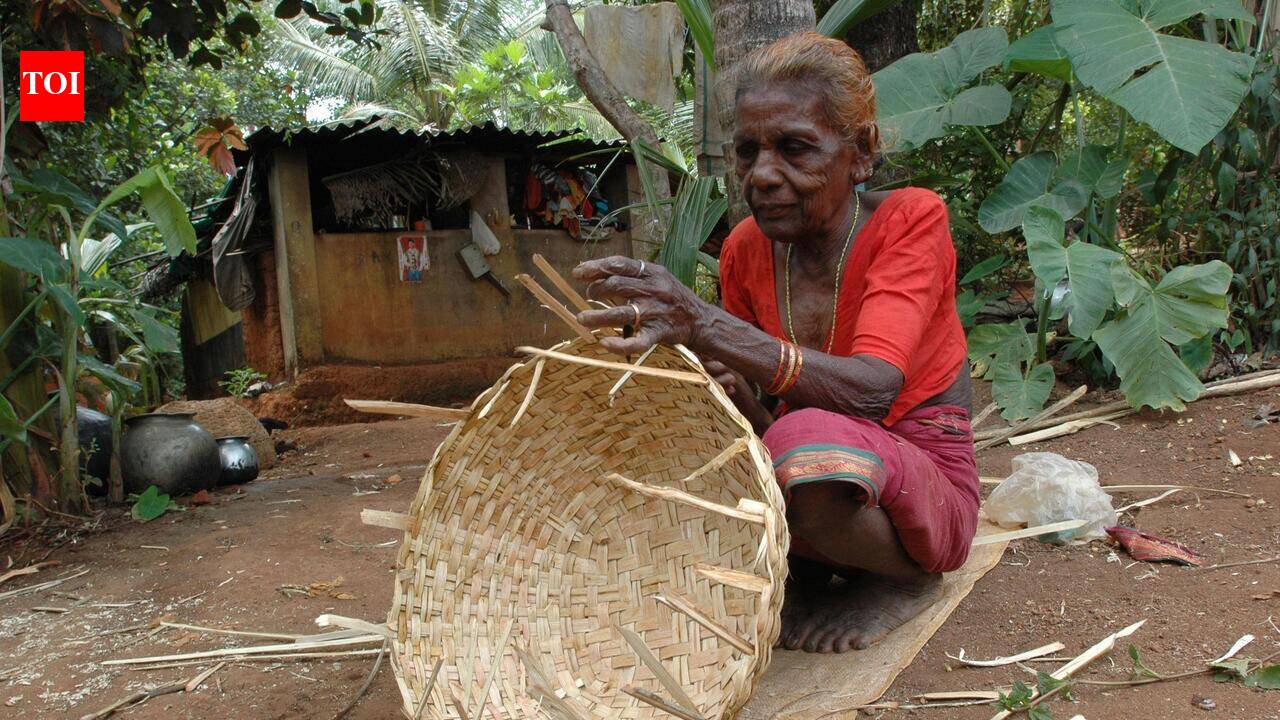 Koraga population declines in DK, community seeks scientific study