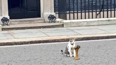 Keir Starmer Quits: From Andy Burnham To Shabana Mahmood, Who'll Be Next UK PM?