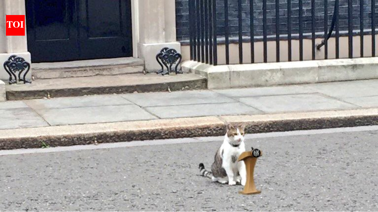 As Keir Starmer announces exit, 'chief mouser' Larry the Cat stays on awaiting PM no 7