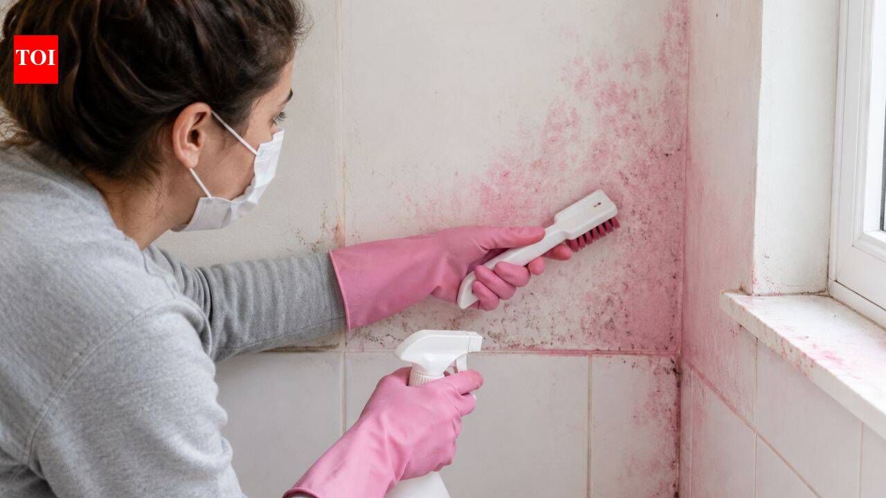 Pink mould in the bathroom: What is it and kitchen ingredients that can remove it