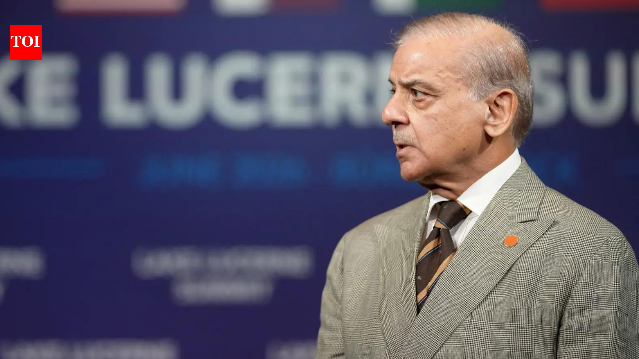 Pakistan PM Shehbaz Sharif's stunned reaction to Iran delegation walking out of peace talks goes viral - video