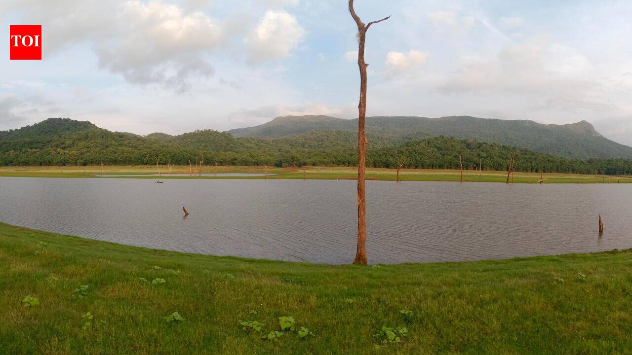 Monsoon lag leaves Bhadra 14 ft short of last year's mark