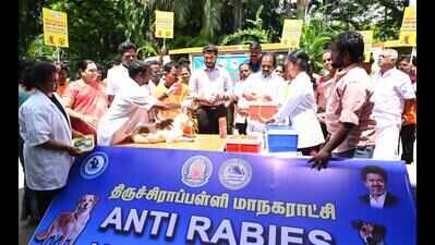 Trichy corporation to administer 10,000 anti-rabies booster for stray dogs