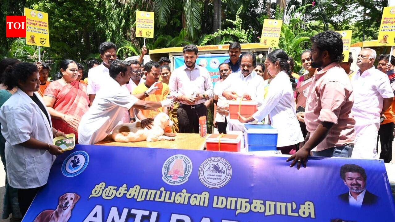 Trichy corporation to administer 10,000 anti-rabies booster for stray dogs