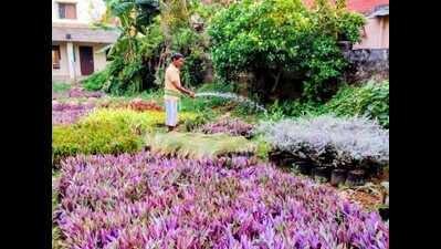 Green makeover in city