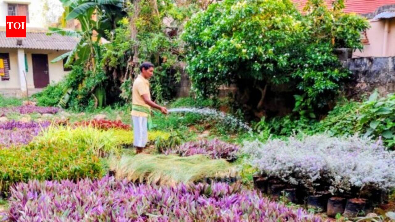 Green makeover in city