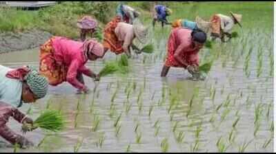 AIADMK, PMK urge govt for full waiver of crop loan