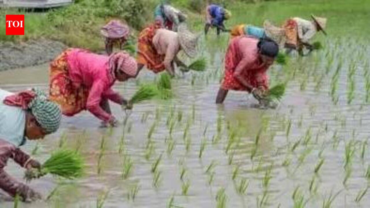 AIADMK, PMK urge govt for full waiver of crop loan