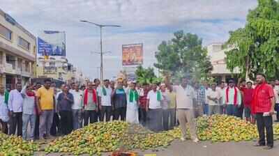 Mango price crash triggers bandh in parts of Karnataka
