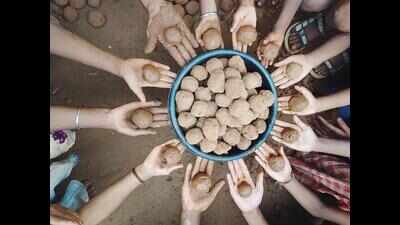 Seed balls dropping start in a week across Andhra Pradesh
