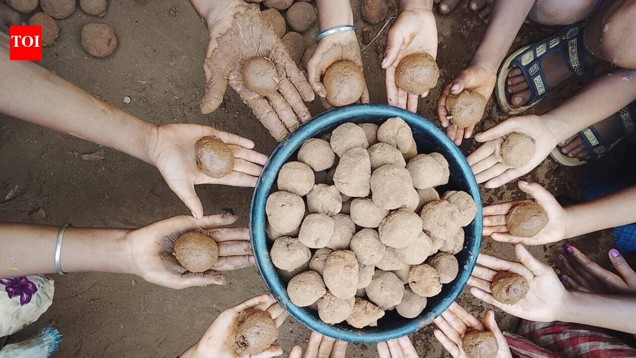 Seed balls dropping start in a week across Andhra Pradesh