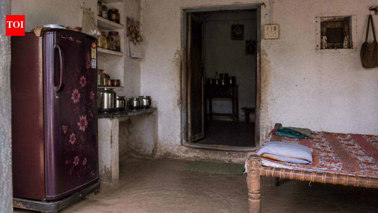 Andhra Pradesh shocker: Man kills mother over delay in bringing water from fridge
