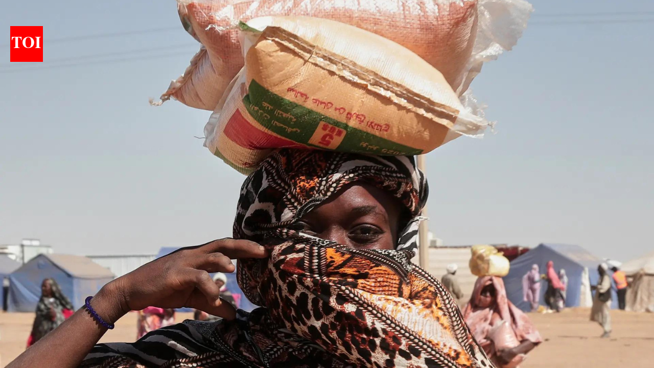 ‘Deeply concerned’: US echoes UN fears over looming Sudan atrocities