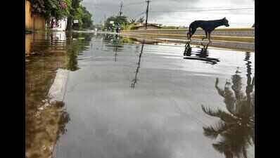Southwest monsoon revives after 10-day lull